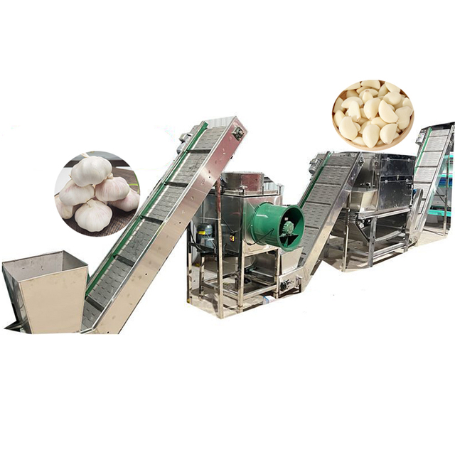 Linha de produ&ccedil;&atilde;o autom&aacute;tica de descascamento de alho de n&iacute;vel comercial com economia de energia para plantas de processamento de alho