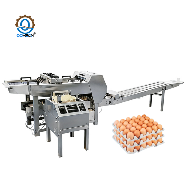 Linha de produ&ccedil;&atilde;o autom&aacute;tica de embalagem de bandeja de ovo de alta efici&ecirc;ncia