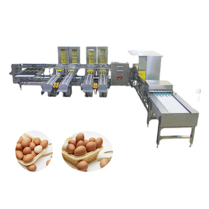  M&aacute;quina clasificadora de huevos completamente autom&aacute;tica M&aacute;quina envasadora de huevos profesional